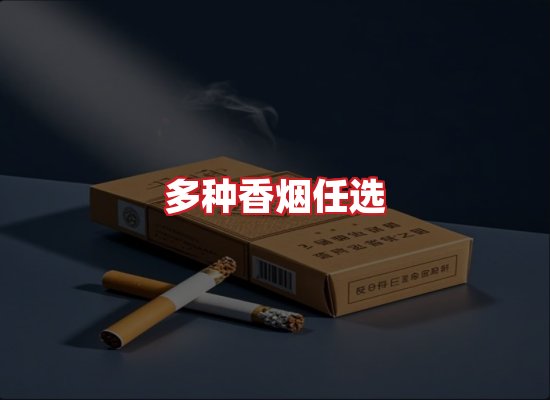 专业团队